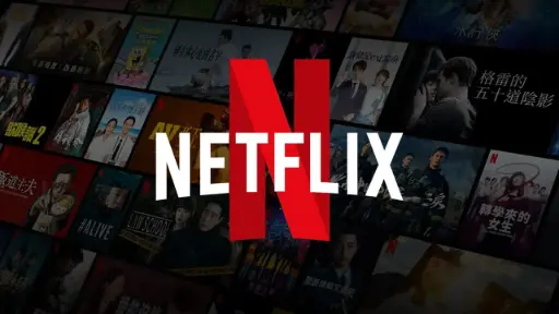 Suscripción 6 meses - Netflix